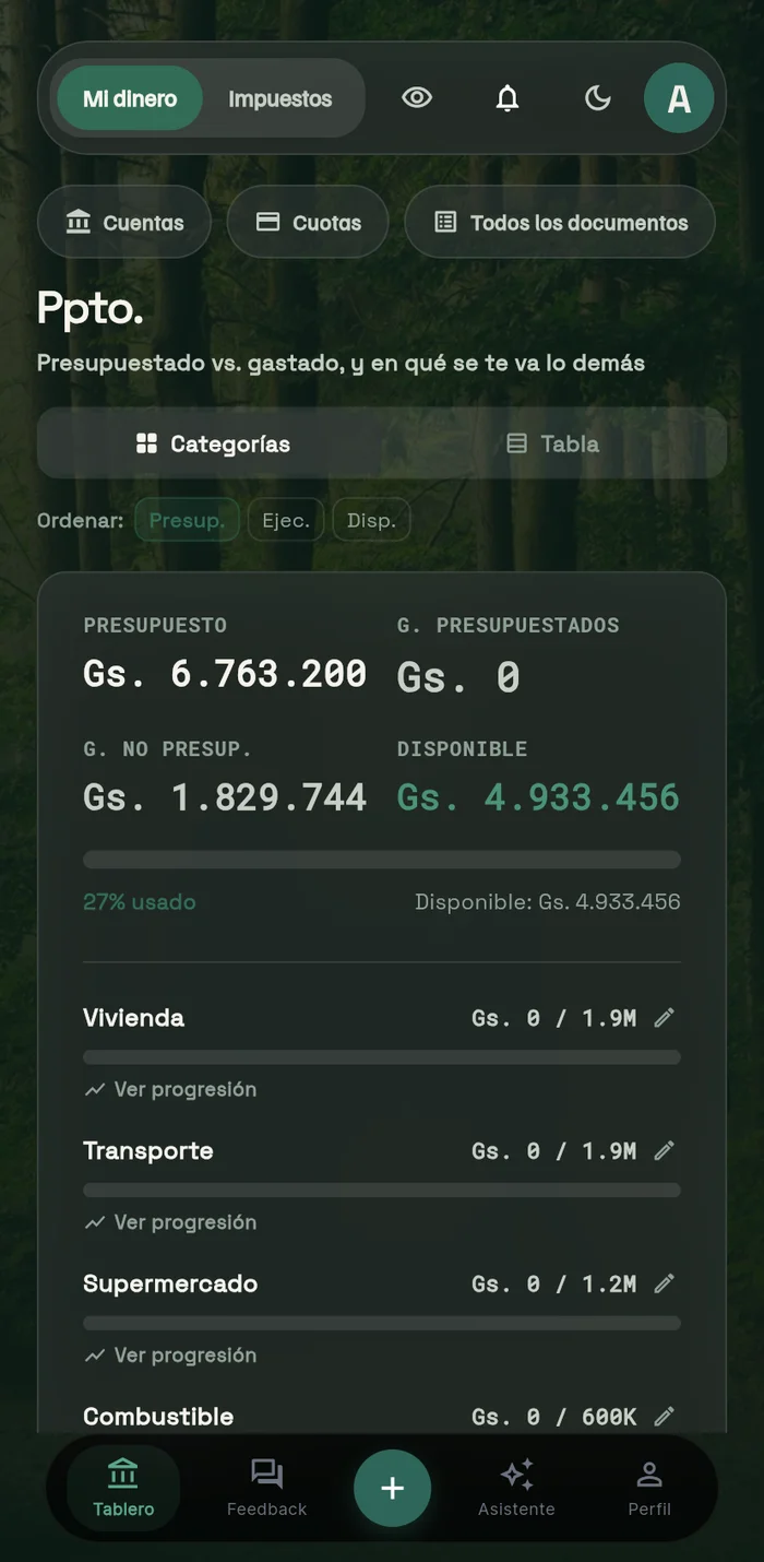 Ikatu — presupuesto por categoría